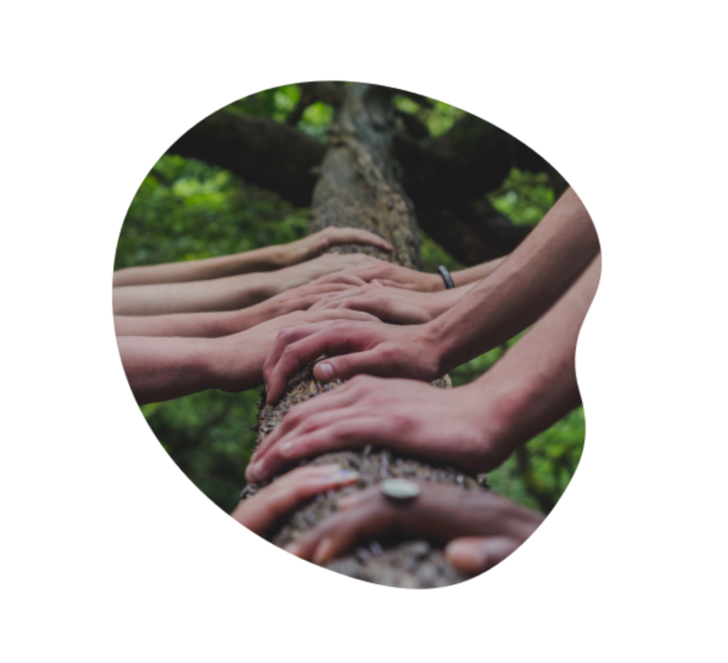 Arbre_footer_Plan-de-travail-1-copie-2_1080px