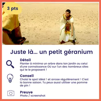 Juste là... un petit géranium, vaut 3 points, planter à minima un arbre dans ton jardin ou celui d'une connaissance ou sur l'un des nombreux sites qui te le proposent