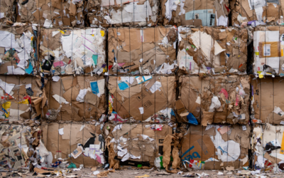 ¡Clasificación, reciclaje, compost: un resumen!