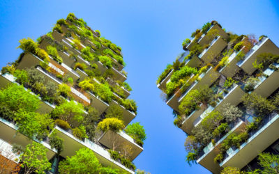 Pourquoi végétaliser les villes ?