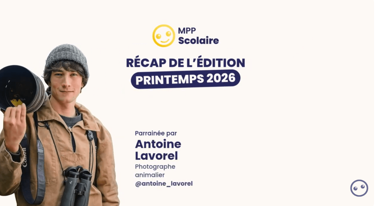 fresque avec des bouchons réutilisés réalisée dans le cadre d'un défi